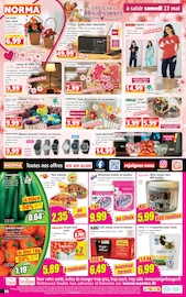 Promos Pyjama Femme dans le catalogue "Votre Discounter Régional" de Norma Pyjama Femme en promo dans le catalogue Norma à la page 10