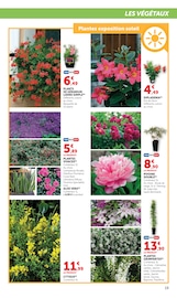 Promos Géranium dans le catalogue "Super U" de Super U Géranium en promo dans le catalogue Super U à la page 19