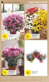 Chrysanthèmes Angebote im Prospekt "TOUT VOTRE MAGASIN CONTRE LA VIE CHÈRE" von Intermarché Super Chrysanthèmes Angebote im Prospekt "TOUT VOTRE MAGASIN CONTRE LA VIE CHÈRE" von Intermarché Super auf Seite 10