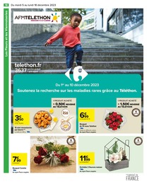 Offre Fleurs dans le catalogue Carrefour du moment à la page 20