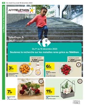 Promos Fleurs dans le catalogue "Carrefour" de Carrefour à la page 20