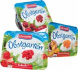 Obstgarten von Ehrmann für 0,44 € bei Netto Marken-Discount im Angebot Obstgarten von Ehrmann im aktuellen Netto Marken-Discount Prospekt