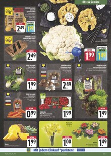 Pflanzen im aktuellen E center Prospekt (Jena) Pflanzen im E center Prospekt "Wir lieben Lebensmittel!" mit 30 Seiten (Jena)