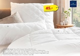 KOPFKISSEN „Granat“ oder LEICHT-STEPPBETT „Granat“ von Billerbeck für 35,00 € bei Höffner im Angebot KOPFKISSEN „Granat“ oder LEICHT-STEPPBETT „Granat“ von Billerbeck im aktuellen Höffner Prospekt