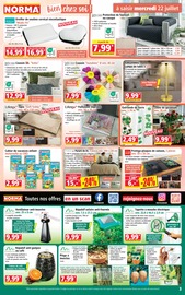 Promos Café dans le catalogue "Votre Discounter Régional" de Norma Café en promo dans le catalogue Norma à la page 3