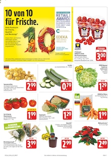 Pflanzen im EDEKA Prospekt "Wir lieben Lebensmittel!" mit 40 Seiten (Erlangen)
