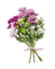 Chrysanthemen-Mix im Angebot bei Kaufland in Gera Chrysanthemen-Mix Angebote bei Kaufland Gera für 3,49 €