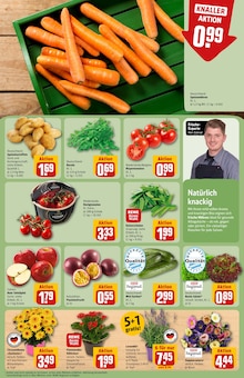 Pflanzen im REWE Prospekt "Dein Markt" mit 32 Seiten (Fürth)