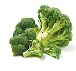 Netto mit dem Scottie Ferdinandshof - Broccoli Angebot im Prospekt Broccoli bei Netto mit dem Scottie im Ferdinandshof Prospekt für 0,99 €