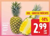 Ananas für 2,99 € bei EDEKA im Angebot Ananas im aktuellen EDEKA Prospekt