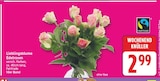 Lieblingsblume Edelrosen im aktuellen EDEKA Prospekt