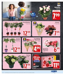 EDEKA Spielwaren im Prospekt 