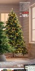 KIEFERN-WEIHNACHTSBAUM im Angebot bei Möbel Wallach in Langenhagen KIEFERN-WEIHNACHTSBAUM Angebote bei Möbel Wallach Langenhagen für 189,00 €