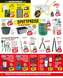 Pflanzen im aktuellen Repo Prospekt (Braunschweig) Pflanzen im Repo Prospekt "Aktuelle Angebote" mit 12 Seiten (Braunschweig)