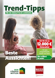Bauzentrum Mayer Prospekt Trend-Tipps für die energetische Sanierung mit  Seiten in Großmehring und Umgebung