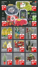 Aktueller EDEKA Prospekt mit Ananas, "Top Angebote", Seite 9