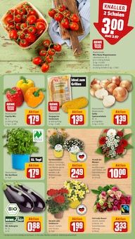 Pflanzen im REWE Prospekt "Dein Markt" mit 24 Seiten (Hannover)