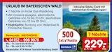 Urlaub im Bayerischen Wald - 7 Nächte im Hotel Das Waldkönig Angebote von HTH Hanse Touristik Hamburg GmbH bei Netto Marken-Discount Mannheim für 229,00 €