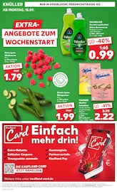 Gemüse im Kaufland Prospekt in Erkrath Aktueller Kaufland Prospekt mit Gemüse, "EXTRA-ANGEBOTE", Seite 8
