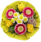 Geschenkstrauß im Angebot bei Kaufland in Bremen Geschenkstrauß Angebote bei Kaufland Bremen für 9,99 €