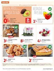 Promos Plante Verte dans le catalogue "LES HALLES d'été" de Auchan Supermarché Plante Verte en promo dans le catalogue Auchan Supermarché à la page 8