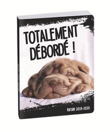 Agendas funny pets - Office DEPOT à Toulouse Agendas funny pets en promo chez Office DEPOT Toulouse à 4,49 €