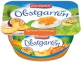 Aktuelle Quark Angebote bei Kaufland in Berlin Aktuelles Obstgarten Angebot bei Kaufland in Berlin ab 0,49 €