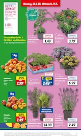 Ähnliche Angebote wie Teichpflanzen im Prospekt "LIDL LOHNT SICH" auf Seite 3 von Lidl in Hamburg