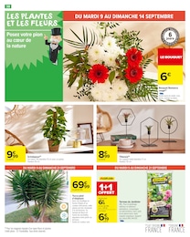 Offre Jardinière dans le catalogue Carrefour Market du moment à la page 40