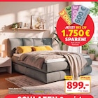 Alberto im Segmüller Prospekt Boxbett „Alberto“ im aktuellen Segmüller Prospekt für 899,00 €