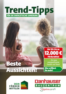 Danhauser Prospekt Trend-Tipps für die energetische Sanierung mit  Seiten in Schwarzach (Nabburg) und Umgebung