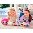 Promo CHATON SMITTEN KITTENS à 9,99 € dans le catalogue Auchan Hypermarché à Villeneuve-sur-Lot