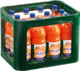 Getränke Hoffmann Hopsten - Grapefruit-Zitrone Angebot im Prospekt Grapefruit-Zitrone bei Getränke Hoffmann im Hopsten Prospekt für 12,99 €