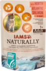 Katzennahrung Angebote von IAMS bei budni Elmshorn für 0,59 €