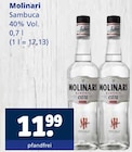 Sambuca im Angebot bei Getränkewelt in Hagen Sambuca Angebote von Molinari bei Getränkewelt Hagen für 11,99 €