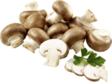 EDEKA Oberderdingen - Bio Bioland-Champignons weiß Angebot im Prospekt Bio Bioland-Champignons weiß bei EDEKA im Oberderdingen Prospekt für 2,49 €