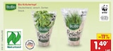 Bio Kräutertopf im Angebot bei Netto Marken-Discount in Bremerhaven Bio Kräutertopf Angebote von BioBio bei Netto Marken-Discount Bremerhaven für 1,49 €