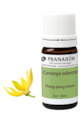 NaturéO Fresnes - Promo Ylang ylang - 5 ml Promo Ylang ylang - 5 ml à 8,75 € dans le catalogue NaturéO à Fresnes