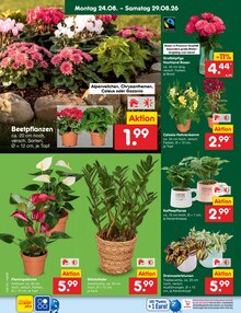 Pflanzen im aktuellen Netto Marken-Discount Prospekt (Rostock) Pflanzen im Netto Marken-Discount Prospekt "Aktuelle Angebote" mit 70 Seiten (Rostock)