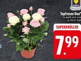 Topfrosen Duo von Edeka Herzstück im aktuellen EDEKA Prospekt für 7,99 €