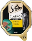 Aktuelle Katzenfutter Angebote bei REWE in München Aktuelles Katzennahrung Angebot bei REWE in München ab 0,49 €