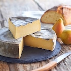 Saint Nectaire fermier A.O.P. FILIERE QUALITE CARREFOUR en promo chez Carrefour Saint Nectaire fermier A.O.P. FILIERE QUALITE CARREFOUR dans le catalogue Carrefour