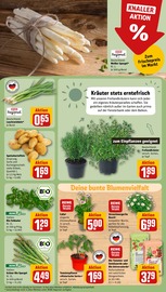 Kartoffeln im REWE Prospekt in Schwäbisch Gmünd Aktueller REWE Prospekt mit Kartoffeln, "Dein Markt", Seite 7