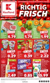 Aktueller Kaufland Supermarkt Prospekt in Gommern und Umgebung, "Aktuelle Angebote" mit 64 Seiten, 05.02.2026 - 11.02.2026