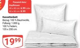 Kassettenbett Angebote bei GLOBUS Amberg für 6,99 €