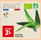 Aloe Vera Feuille Bio dans le catalogue Auchan Hypermarché