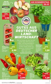 Aktueller Kaufland Prospekt mit Paprika, "Hier bin ich richtig", Seite 8