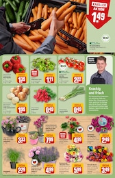 Orchidee Angebot im aktuellen REWE Prospekt auf Seite 9