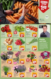 Ähnliche Frühblüher Angebote im Prospekt "Dein Markt" von REWE Ähnliches Angebot bei REWE in Prospekt "Dein Markt" gefunden auf Seite 9
