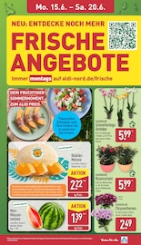 Zimmerpflanzen im ALDI Nord Prospekt in Mülheim Aktueller ALDI Nord Prospekt mit Zimmerpflanzen, "Aktuelle Angebote", Seite 7